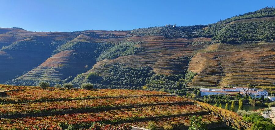 From Porto Douro Valley Tour with Train and Vinho Verde - What $149 includes, and what it does not