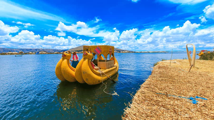 From Puno: Travel to Cusco in Titicaca Train All Inclusive - Booking advice for a smoother day