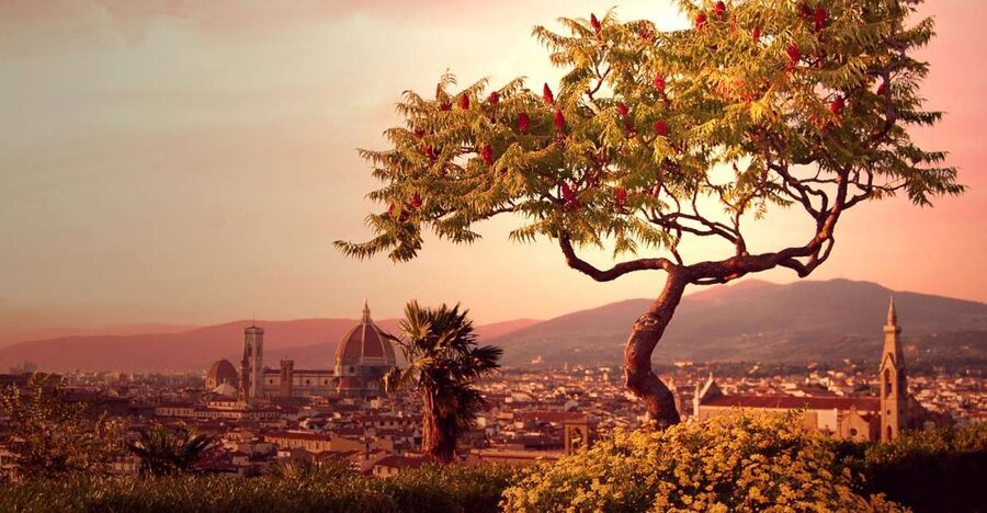 From Rome: Day Trip to Florence by High-Speed Train - The 100-minute train ride to Florence