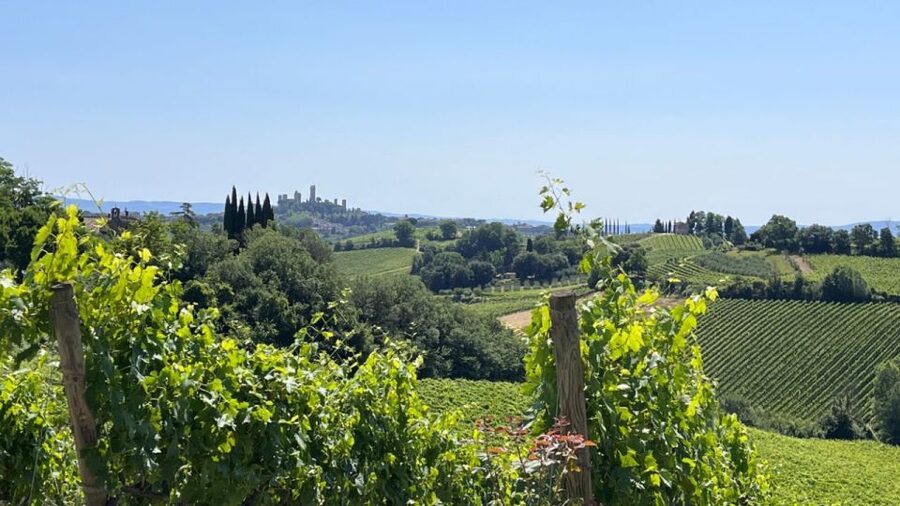 From Rome: Florence & Tuscany Day Tour by High-Speed Train - Is $231.20 a fair price?