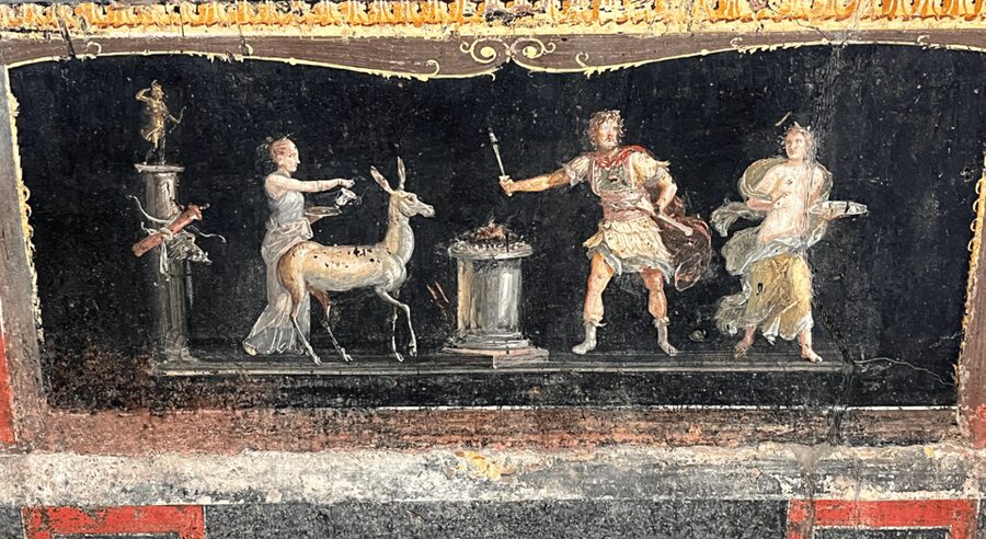 From Rome: Pompeii and Herculaneum Tour w/ High-speed Train - What the $201.75 price covers
