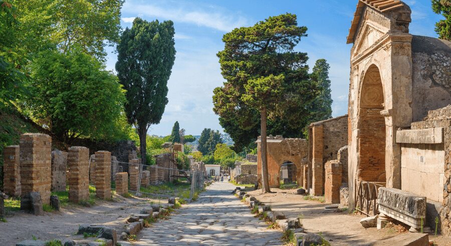 From Rome: Pompeii and Herculaneum Tour w/ High-speed Train - Who should book this day trip
