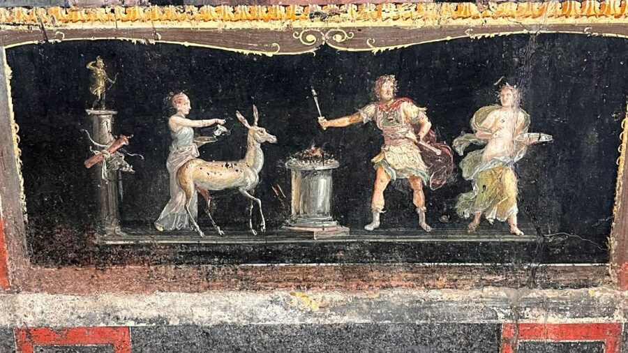 From Rome: Pompeii and Naples Day Trip by High-Speed Train - FAQ