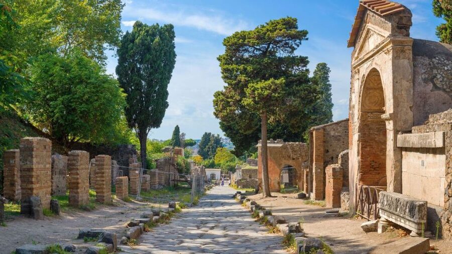 From Rome: Pompeii and Naples Day Trip by High-Speed Train - Seeing Naples from Posillipo to the historic center