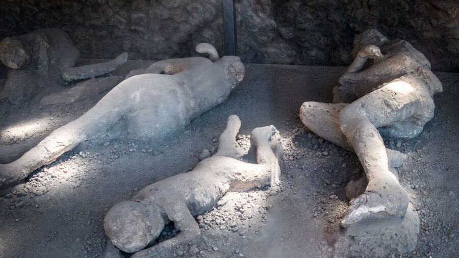 From Rome: Pompeii and Naples Day Trip by High-Speed Train - How the guides shape the day