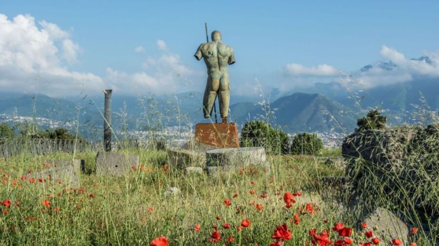 From Rome: Pompeii and Naples Day Trip by High-Speed Train - Who should book this Rome to Pompeii day trip