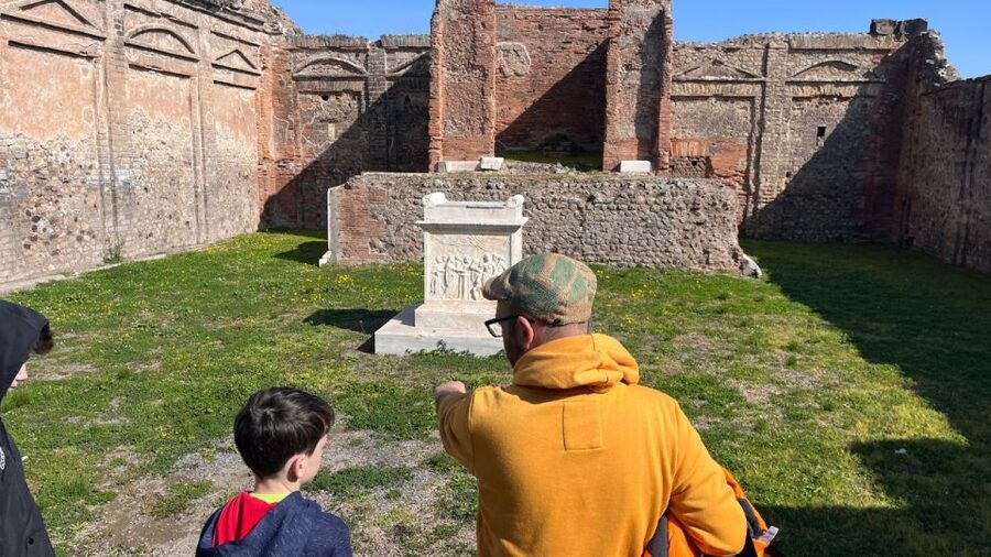 From Rome: Pompeii and Naples Day Trip by High-Speed Train - Should you book it?