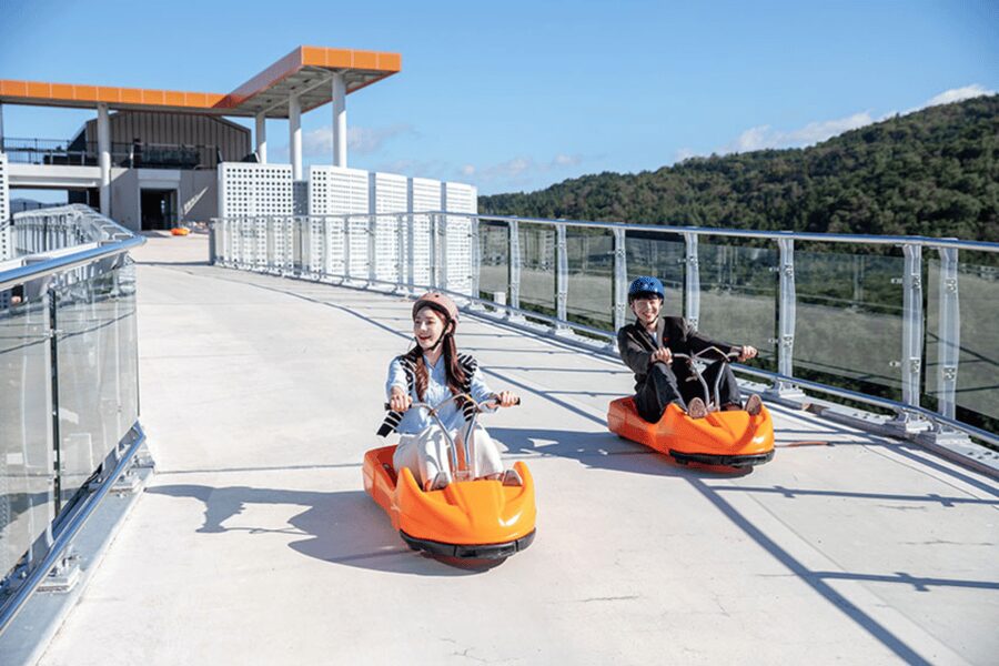 From Seoul: Full Day Trip to Alpaca Farm with Rail Bike - Who should choose the rail bike, and who should choose the luge?