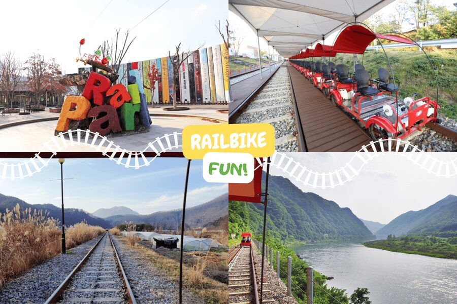 From Seoul: Full Day Trip to Alpaca Farm with Rail Bike - A full day beyond Seoul