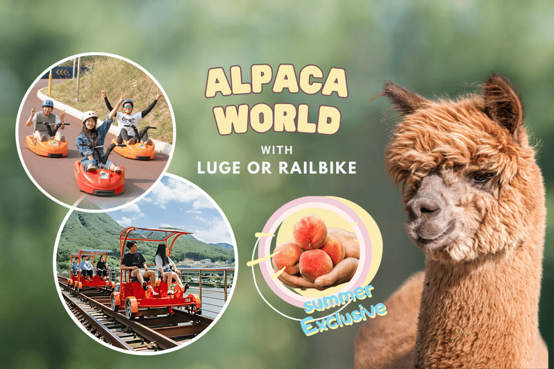 From Seoul: Full Day Trip to Alpaca Farm with Rail Bike - Gangchon Rail Park and the Bukhan River views