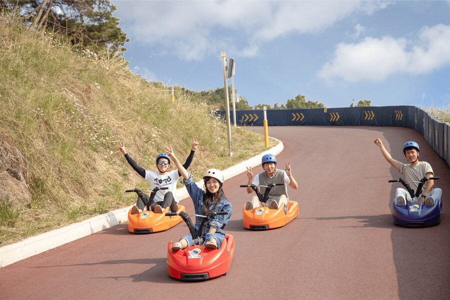 From Seoul: Full Day Trip to Alpaca Farm with Rail Bike - Vivaldi Park and the luge choice