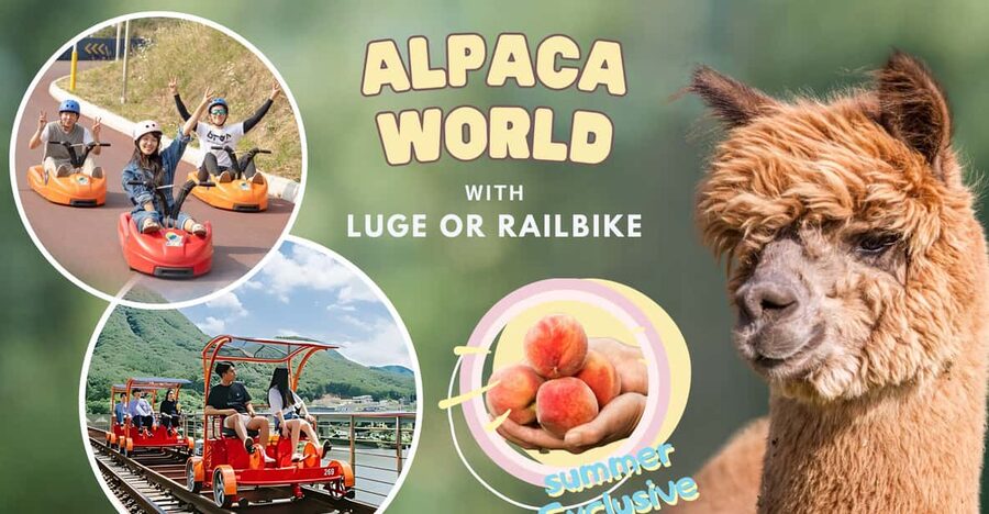From Seoul: Full Day Trip to Alpaca Farm with Rail Bike - Is the $59 price good value?
