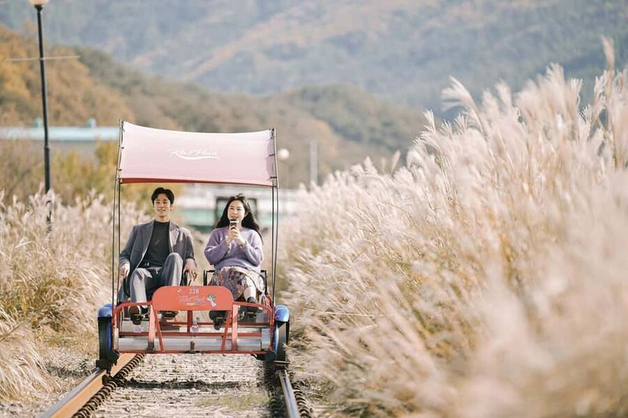 From Seoul: Nami Island, K-drama Garden & Rail Bike Day Tour - A full day from Seoul, with three very different moods