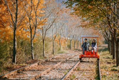 Nami Island, K-drama Garden & Rail Bike Day Tour