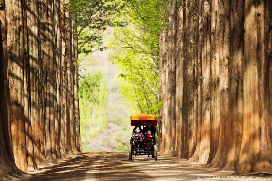 From Seoul: Nami Island, K-drama Garden & Rail Bike Day Tour - The price, cancellation terms, and who gets the best value