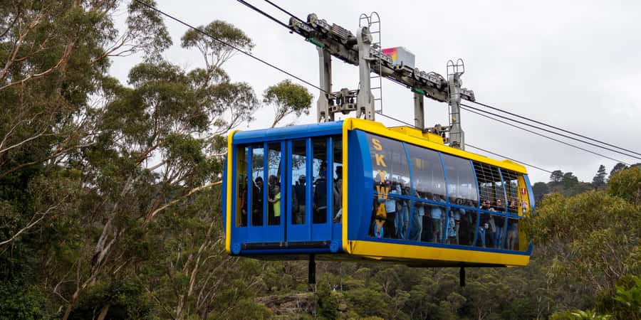 From Sydney: Blue Mountains, Scenic Railway, & Sydney Zoo - A big day that covers Sydney’s nearby highlights