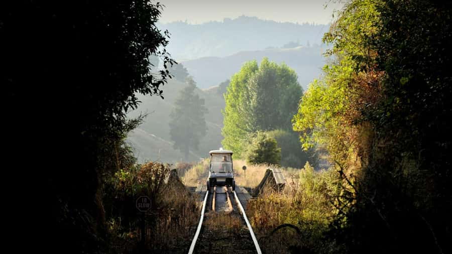 From Taumarunui: The Republic Rail Cart Adventure - Matiere brings the first proper pause
