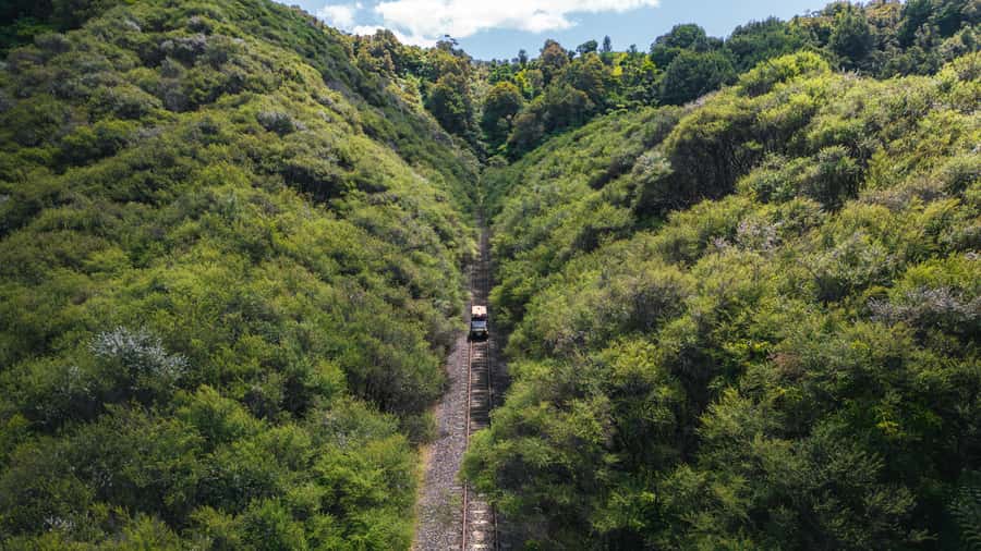 From Taumarunui: The Republic Rail Cart Adventure - What the rail cart ride is really like