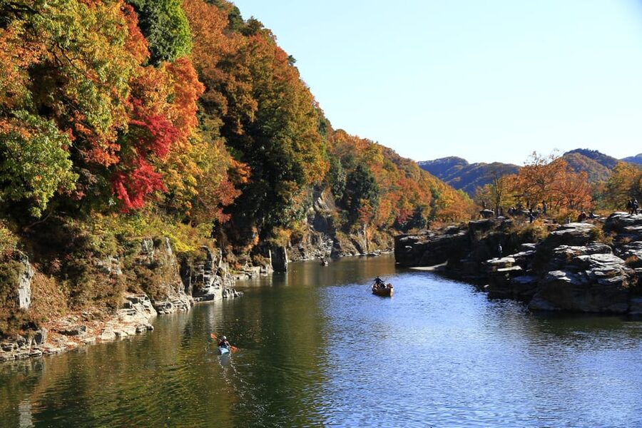 From Tokyo: Seibu Railway 1 Day Pass and Nagatoro - What the $9 price really buys you