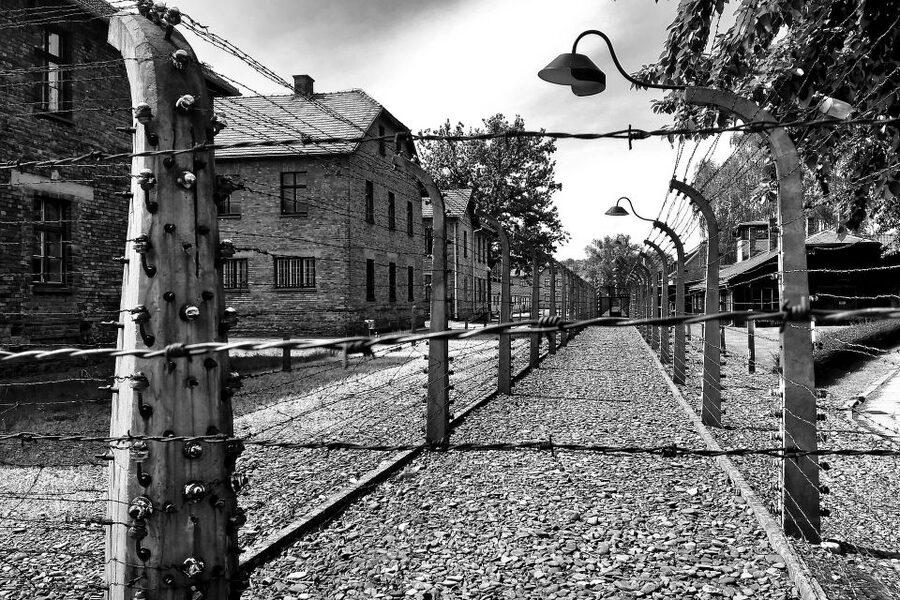 From Warsaw: Auschwitz-Birkenau Guided Tour with Fast Train - Birkenau and the scale of the camp complex