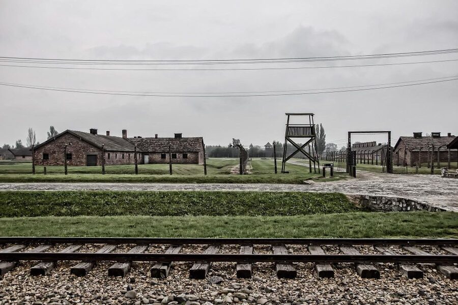 From Warsaw: Auschwitz-Birkenau Guided Tour with Fast Train - A serious visit, not a casual day out