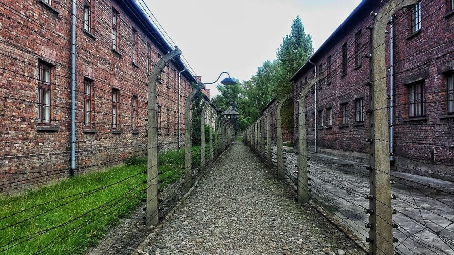 From Warsaw: Auschwitz-Birkenau Guided Tour with Fast Train - The early train from Warsaw to Krakow