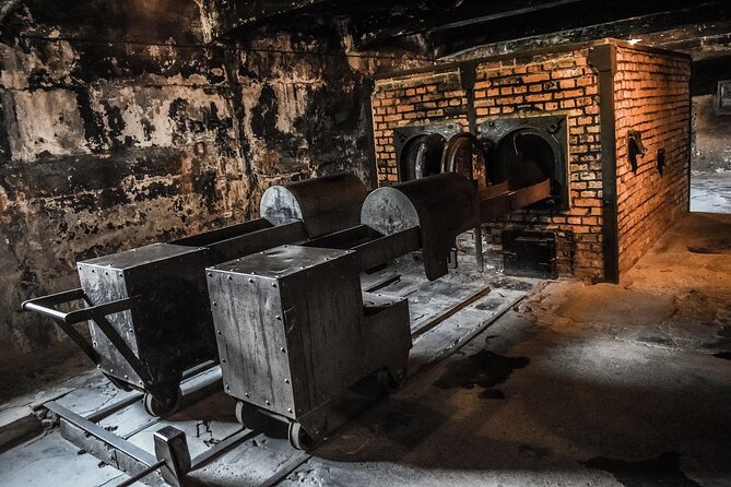 From Warsaw: Auschwitz-Birkenau Tour with Premium Train Transportation - Guide quality and the role of the headset