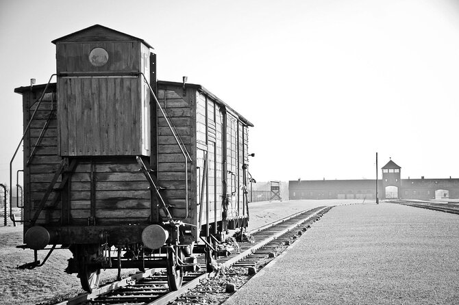From Warsaw: Auschwitz-Birkenau Tour with Premium Train Transportation - From Warsaw hotel pickup to Krakow