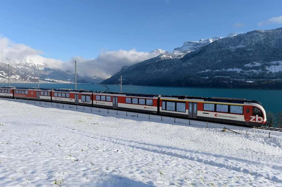 From Zurich: Premium Panoramic Train, Lucerne & Interlaken - Who will enjoy this trip most?