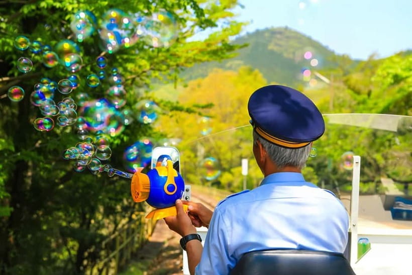 Fukuoka: Takachiho Gorge, Amano Iwato & Scenic Train Tour - One hour beside Takachiho Gorge