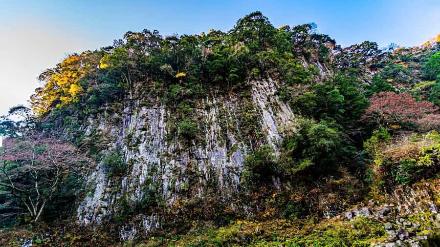 Fukuoka: Takachiho Gorge & Scenic Railway One Day Tour - A 30-minute ride on the Takachiho Amaterasu Railway