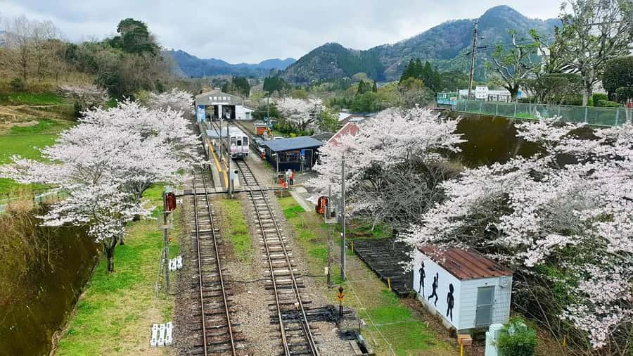 Fukuoka: Takachiho Gorge & Scenic Railway One Day Tour - Should you book it?