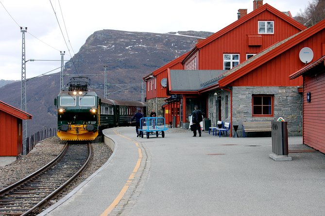 Full Day Guided Roundtrip From Bergen To Sognefjord With Flam Railway - Bergen to Voss by the Bergen Railway