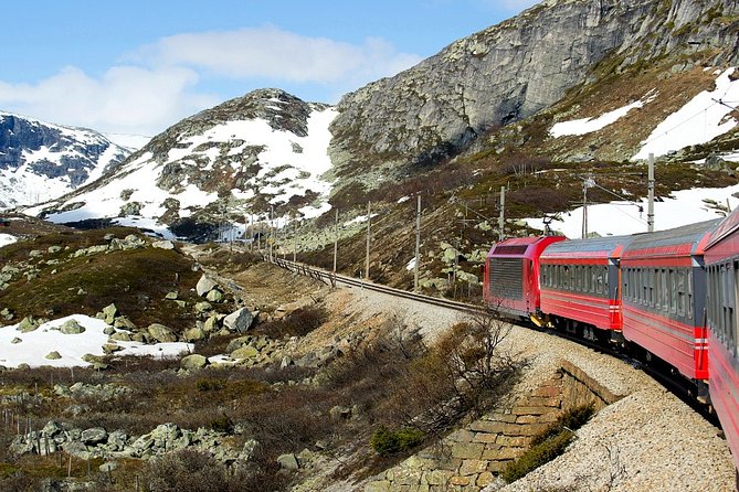 Full Day Guided Roundtrip From Bergen To Sognefjord With Flam Railway - Who should book this private fjord day?