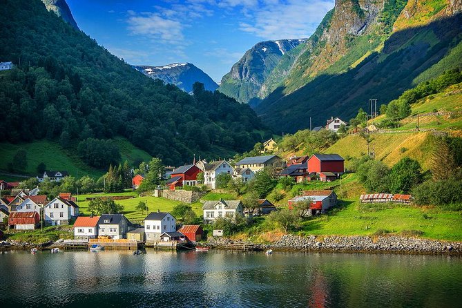 Full Day Guided Roundtrip From Bergen To Sognefjord With Flam Railway - The two-hour cruise through Nærøyfjord and Aurlandsfjord