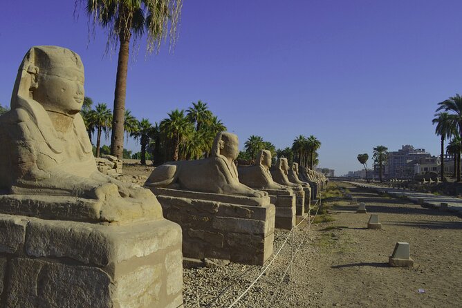 Full day Luxor tour from Cairo by a sleeper train - A private tour with an Egyptologist who keeps the day human