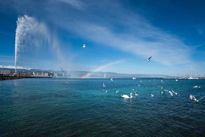 Geneva: Hop-on Hop-Off Bus & Scenic Mini-Train Tour - Lake Geneva, parks, and the seasonal second mini-train