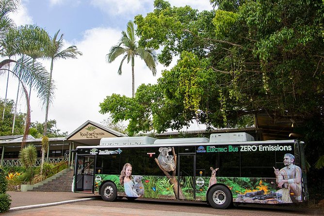 Grand Kuranda including Skyrail and Kuranda Scenic Railway - Bright wings at the Australian Butterfly Sanctuary