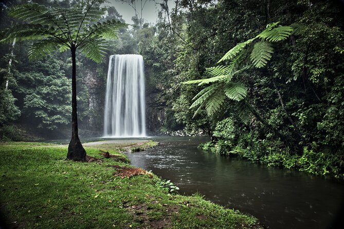 Grand Kuranda including Skyrail and Kuranda Scenic Railway - Rainforestation combines lunch, wildlife, and culture