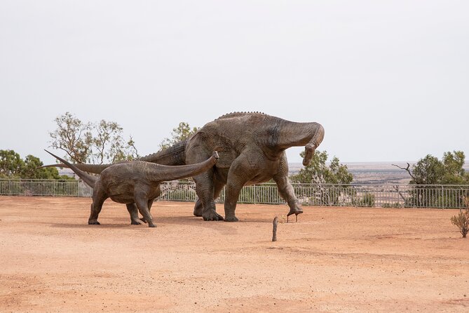 Great Darr River Rail Run - Is $99.70 good value?