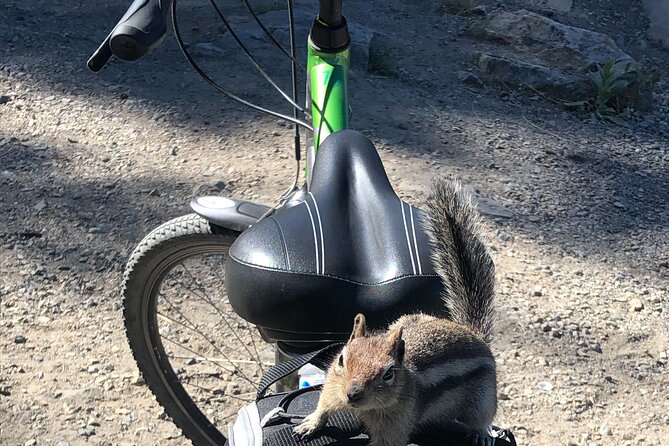 Guided Bike Tour on Historical Kettle Valley Railway at Myra Canyon & Wine Tour - Pickup from Kelowna and West Kelowna