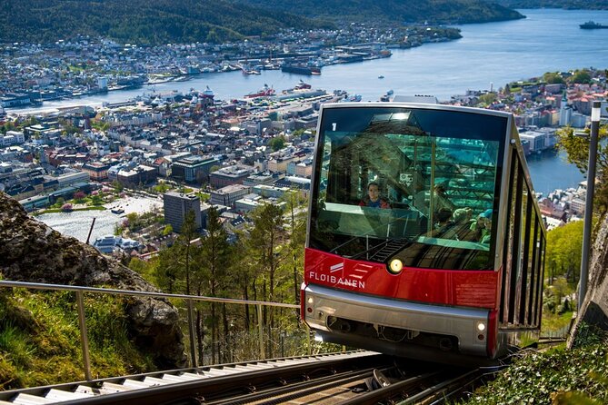 Guided day tour - Mostraumen Cruise, City Walk & Flöyen Funicular - Key points at a glance