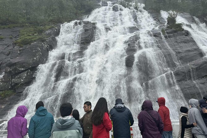 Guided day tour - Mostraumen Cruise, City Walk & Flöyen Funicular - What the $268.02 price really covers