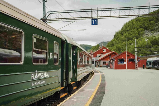 Guided tour to Viking Village, Nærøyfjorden Cruise & Flåm Railway - From Bergen to the fjords by minibus