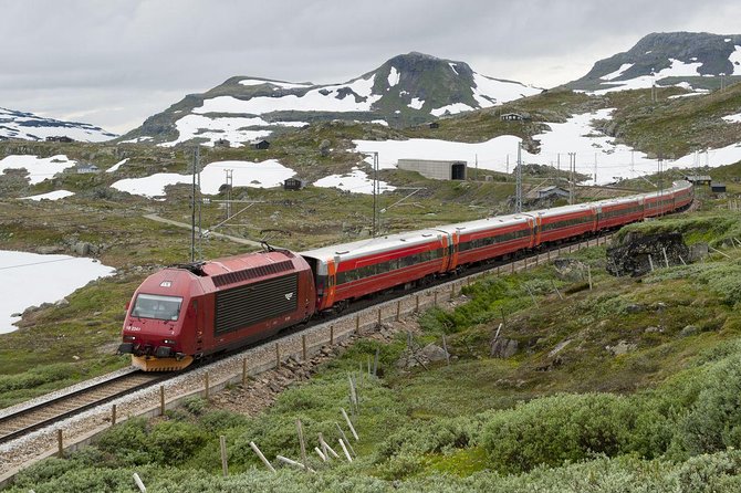 Guided tour - Viking Village, Nærøyfjord Cruise and Flåm Railway - Myrdal and the Bergen Railway connection