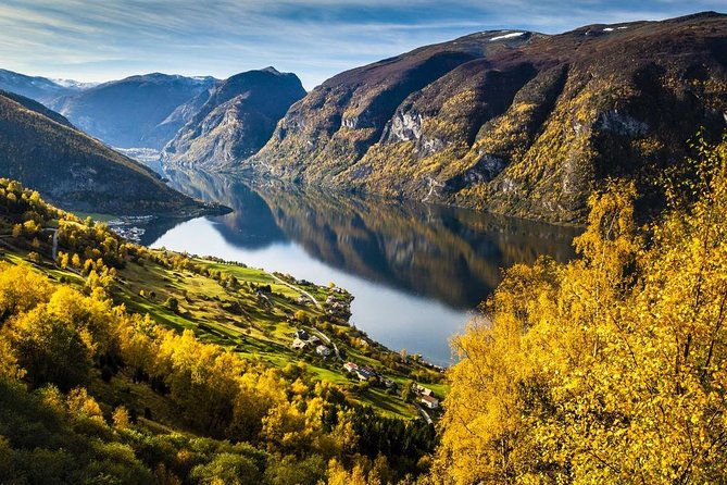 Guided tour - Viking Village, Nærøyfjord Cruise and Flåm Railway - Who should book this Bergen day tour?