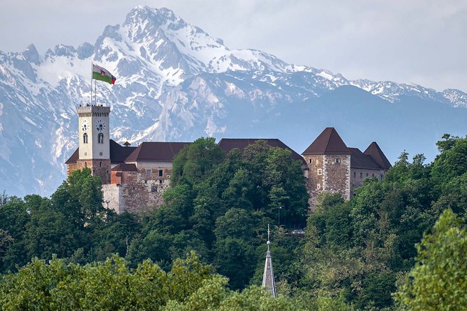 Guided Walk and Funicular Ride to Ljubljana Castle - Town Hall and the old city center
