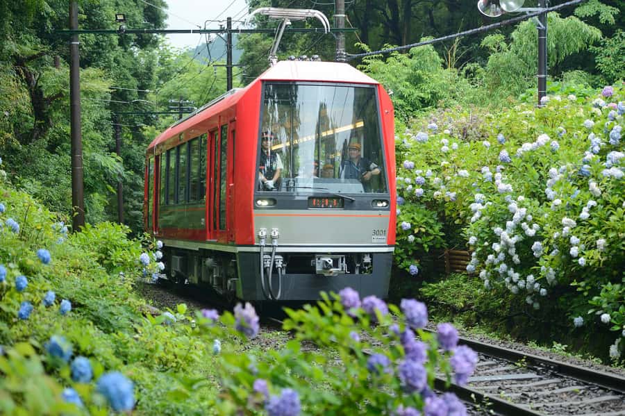 Hakone: Train Pass with Unlimited Rides & Activity Discounts - Lake Ashi and the Hakone sightseeing cruise