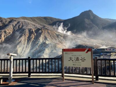 Hakone: Train Pass with Unlimited Rides & Activity Discounts