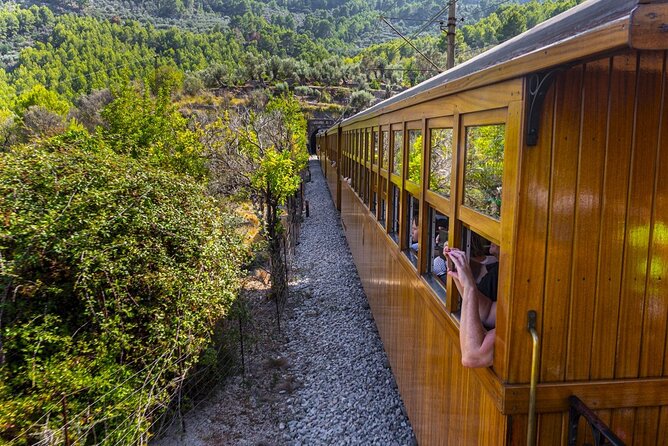 Half Day Guided Tour in Soller Train and Tram - Why the Palma to Sóller railway matters